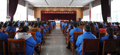 成都MILAN米兰体育·（中国）官方网站集团召开2015年度总结表彰大会