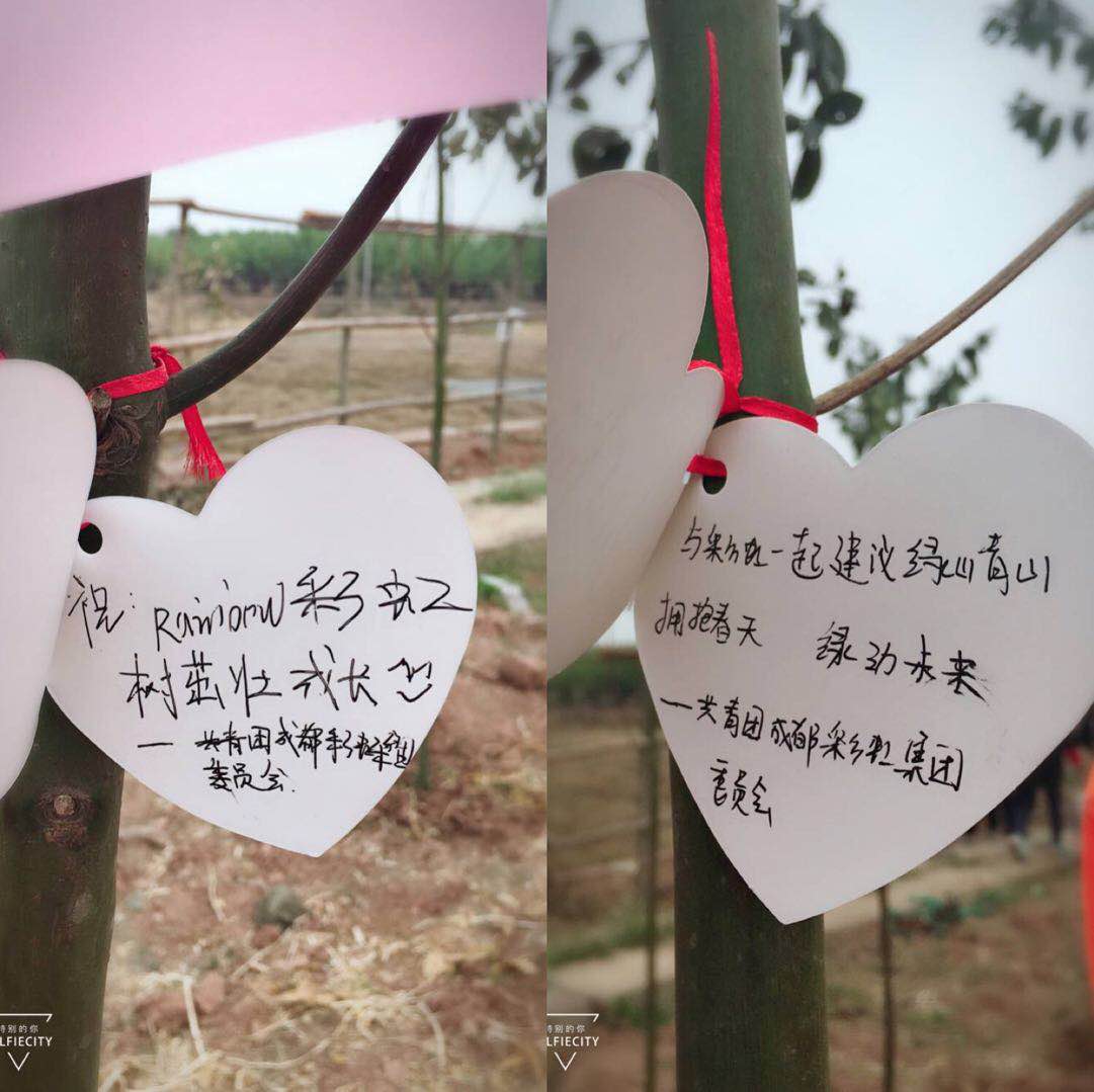 共青团成都MILAN米兰体育·（中国）官方网站集团团委及团员青年代表参加高新区植树节志愿服务活动