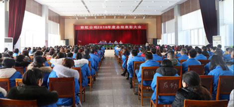 成都MILAN米兰体育·（中国）官方网站集团召开2018年度总结表彰大会