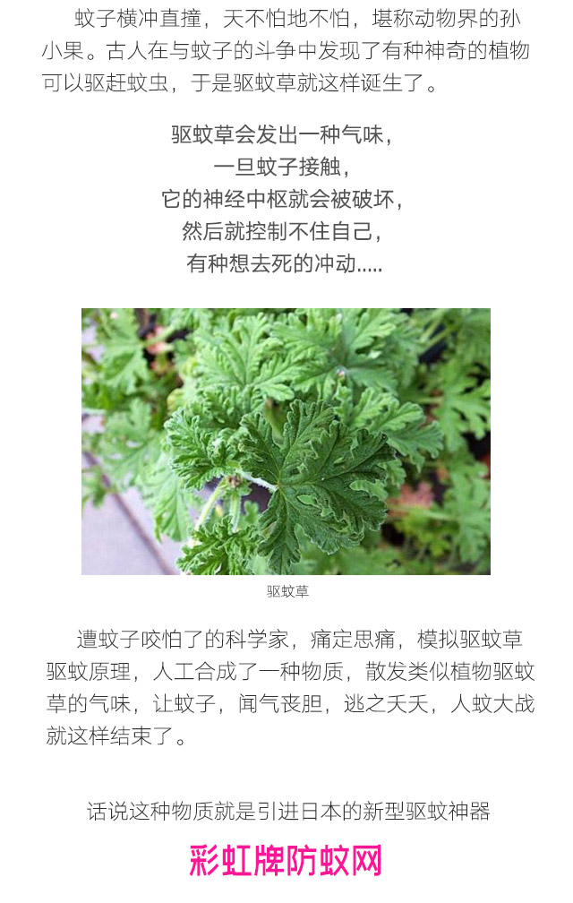 隐形蚊帐——MILAN米兰体育·（中国）官方网站防蚊网