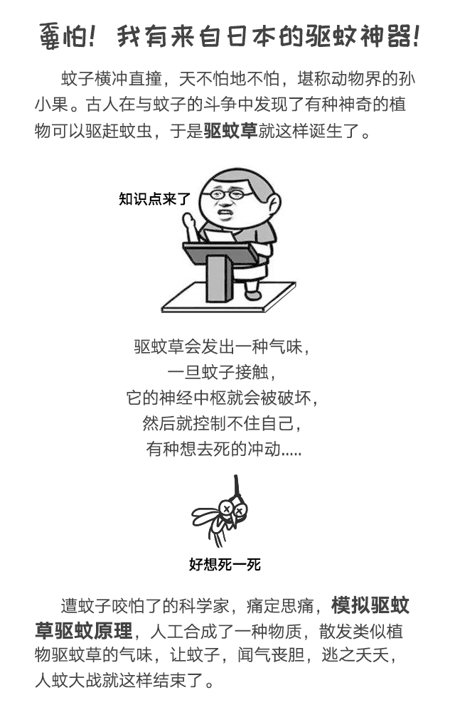 MILAN米兰体育·（中国）官方网站防蚊网不惧日晒与风雨