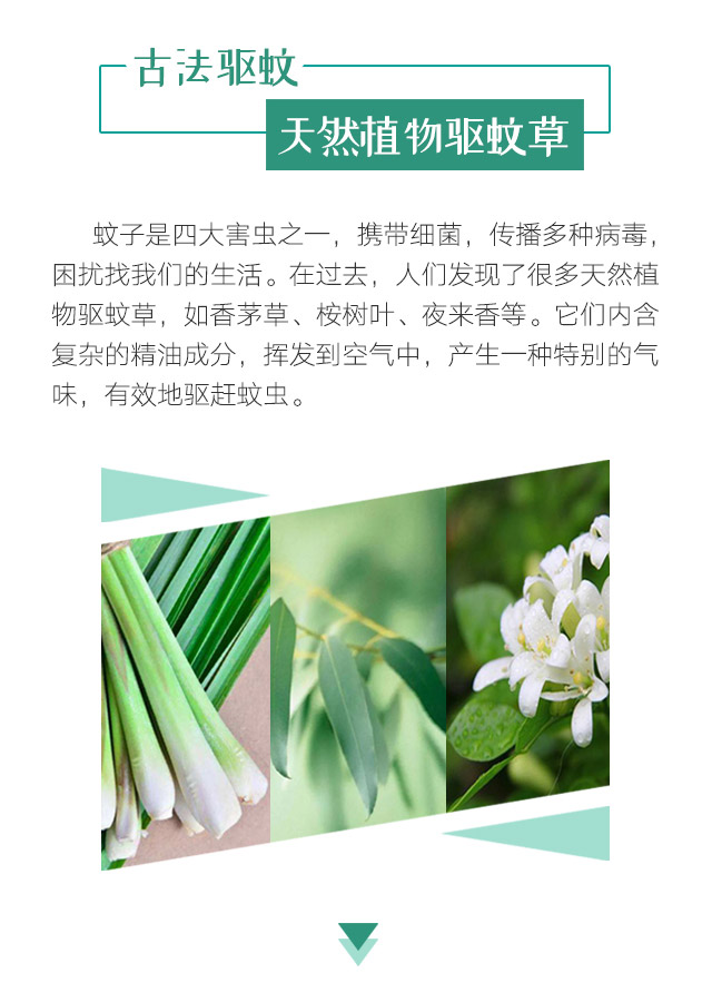 MILAN米兰体育·（中国）官方网站天然植物精油驱蚊贴