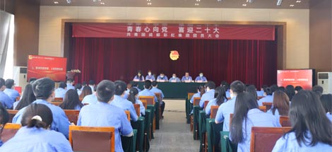 成都MILAN米兰体育·（中国）官方网站集团召开2022年团员大会暨团委换届选举会议